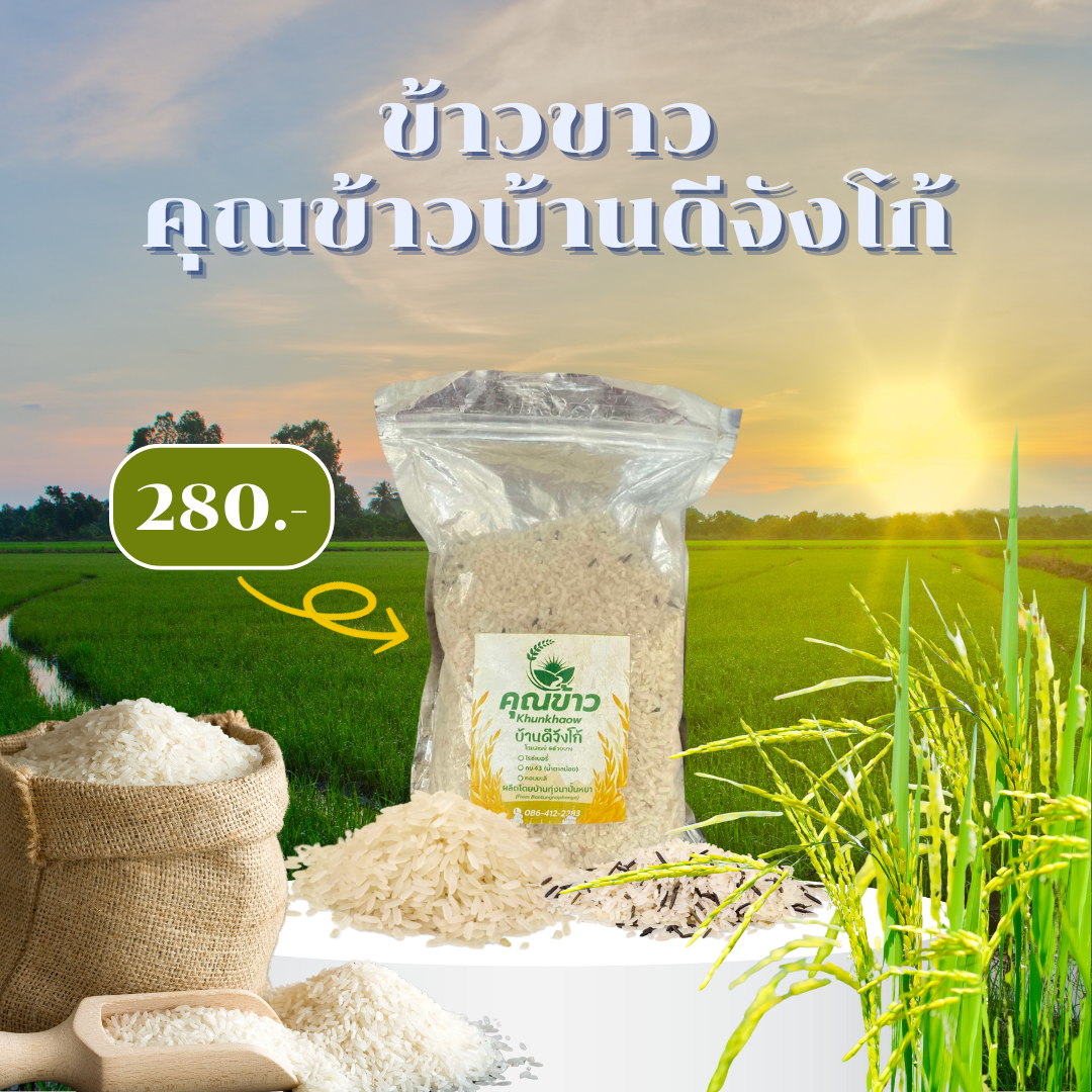 ข้าวขาวบ้านดีจังโก้