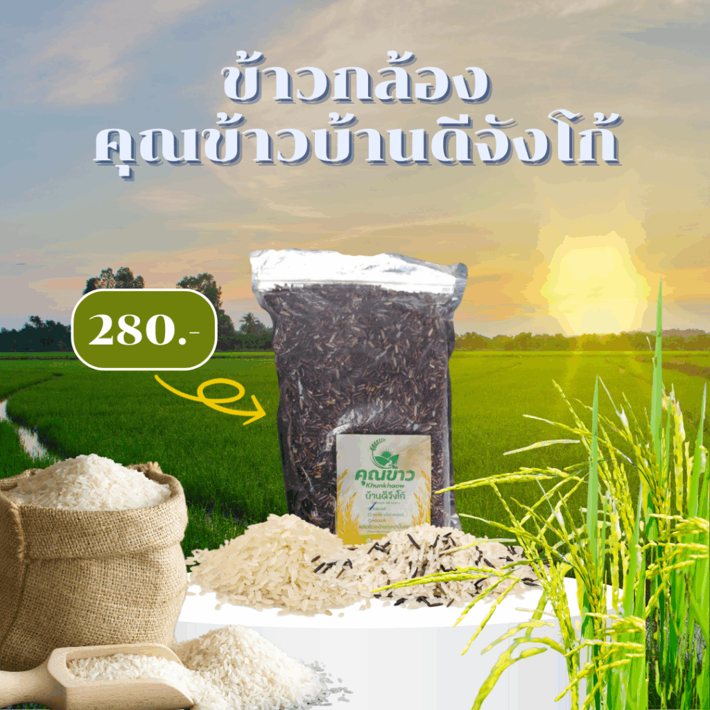 ข้าวกล้องบ้านดีจังโก้