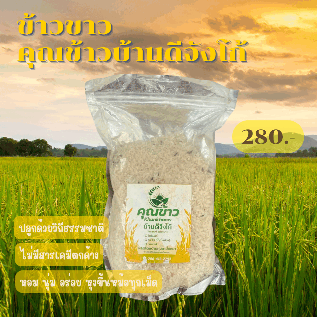 ข้าวขาวบ้านดีจังโก้
