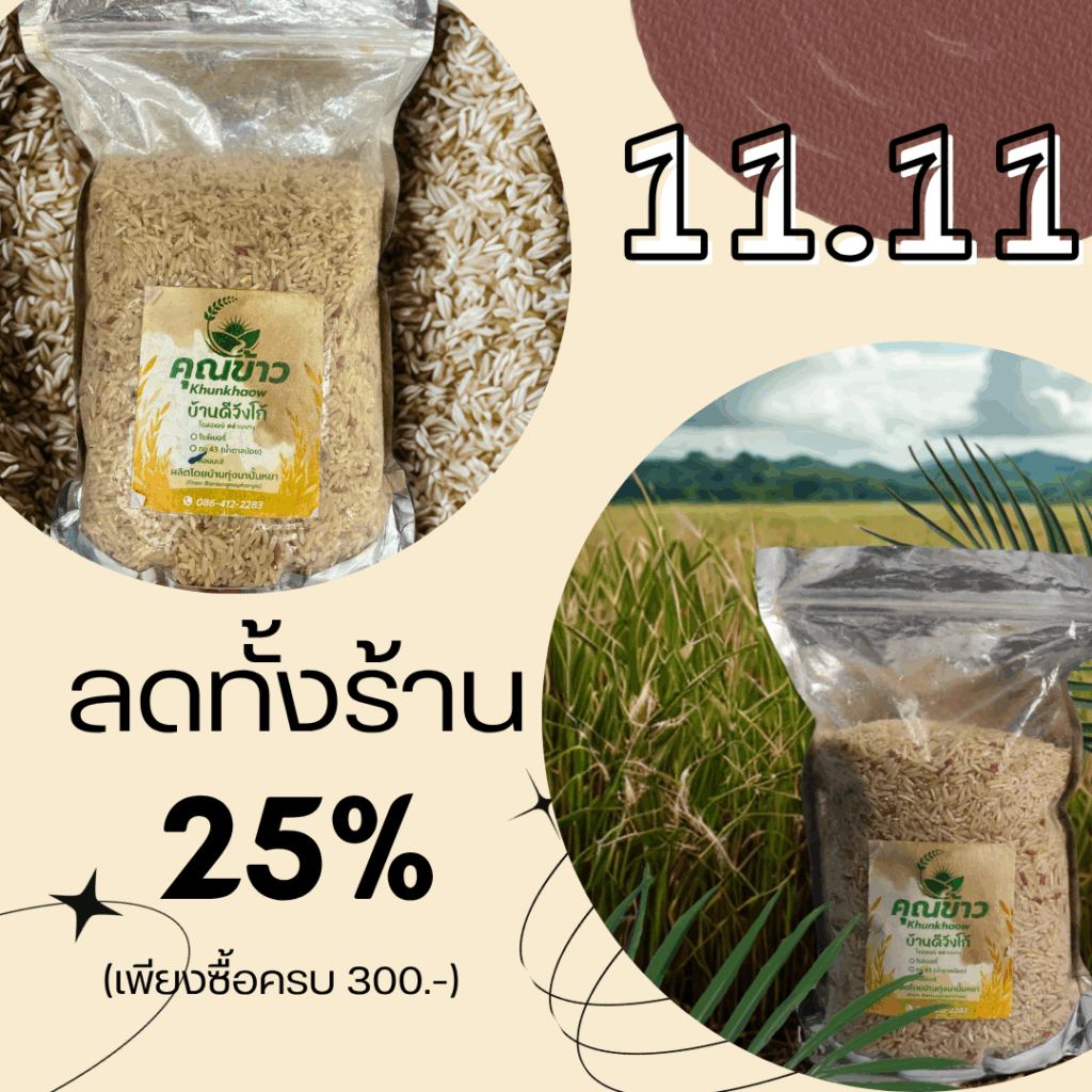 โปรโมชั่น 11.11 ลด 25% สินค้าเพื่อสุขภาพลดราคาพิเศษ