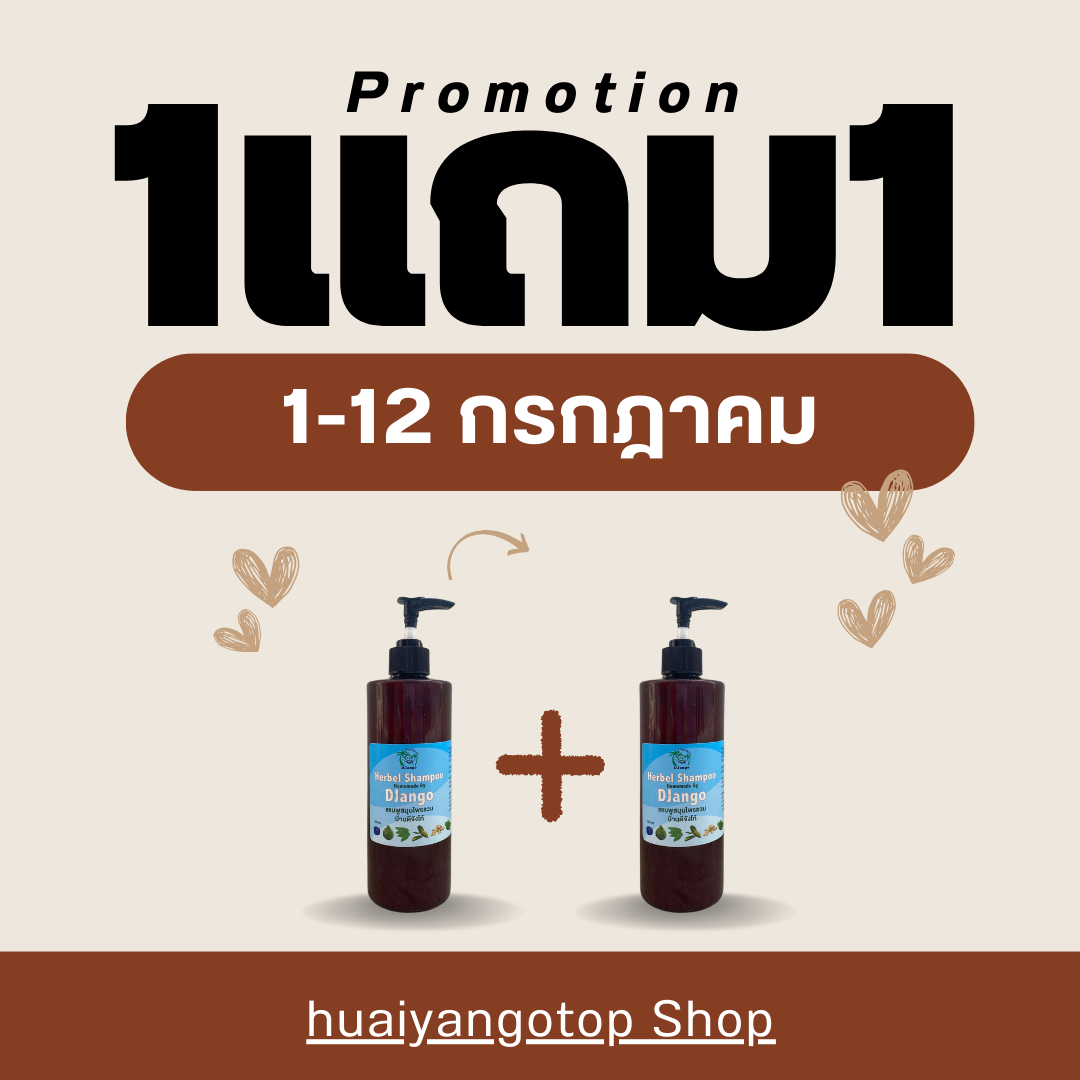 โปร1แถม1